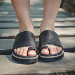 1980/2 - comprar online