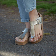 36 PLATINO en internet