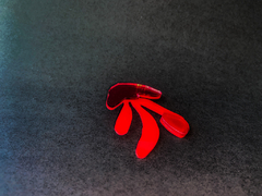Broche Monstera - comprar online