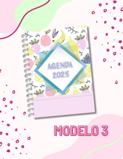 Agendas 2025 en internet