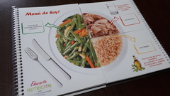 Manual rotafolio tradicional - Educarte Nutrición