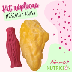 Kit RÉPLICAS (Músculo y Grasa)