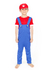Disfraz infantil LUIGI en internet