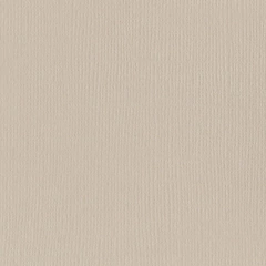 Bazzill Cardstock - Mono - Twig 301836