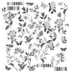 49 and Market - Coleção Color Swatch Charcoal - Die cuts acetato