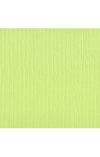 Bazzill Cardstock - Mono - Limeade 309014