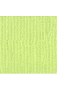 Bazzill Cardstock - Mono - Limeade 309014