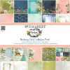49 and Market - Coleção Birdsong - Kit 10 Papéis para Scrapbook 30x30 cm (12x12 polegadas))
