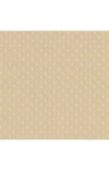 Bazzill Cardstock- Dotted - Sandbox 303084