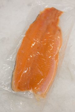 Filet de Trucha Salmonada por unidad