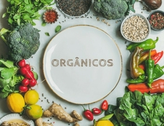 Banner da categoria Orgânicos