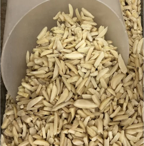 AMÊNDOA PALITO - 100G