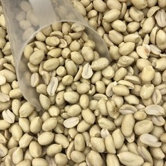 AMENDOIM SEM PELE CRU - 100G
