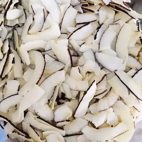 COCO DESIDRATADO SEM AÇÚCAR COM BORDA - 100G