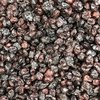 CRANBERRY - 100G