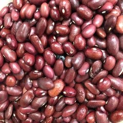 FEIJÃO VERMELHO - 100G