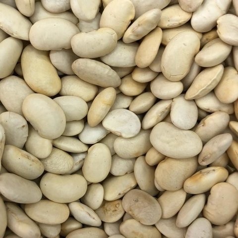 FAVA BRANCA MIÚDA - 100G
