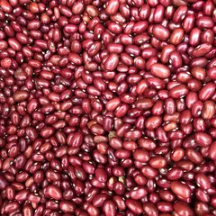 FEIJÃO ROXO - 100G