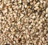 GERGELIM INTEGRAL - 100G