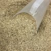 GERME DE TRIGO TERMO TRATADO - 100G