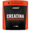 CREATINA MONOHIDRATADA 300G - NEW MILLEN