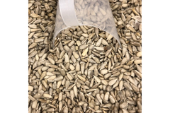 SEMENTE DE GIRASSOL SEM CASCA TORRADO - 100G - comprar online