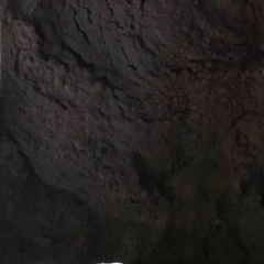 CACAU EM PÓ ALCALINO BLACK - 100G