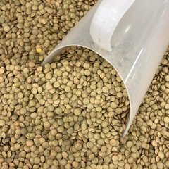 LENTILHA CANADENSE - 100G