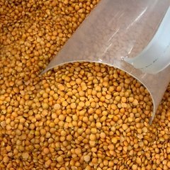 LENTILHA CANADENSE VERMELHA - 100G