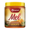 MEL EUCALIPTO 1KG - MINAMEL