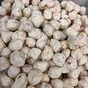 PIPOCA GOURMET SABOR LEITE EM PÓ - 100G