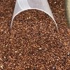 QUINOA VERMELHA EM GRÃO - 100G