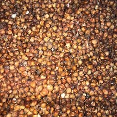 SORGO VERMELHO EM GRÃO - 100G