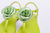 Rasteira Camélia Verde - comprar online