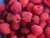 FRAMBOESA - RUBUS ROSIFOLIUS - comprar online