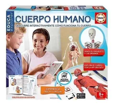 CUERPO HUMANO