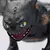 DRAGONS FIGURA INTERACTIVA - COMO ENTRENAR A TU DRAGON en internet