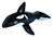 Orca Inflable - comprar online