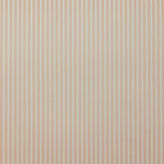 Cartulina rayada Rosa Pastel en internet