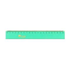 Regla Pizzini 20 cm