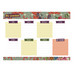 Planner semanal A4 Ry Suculentas