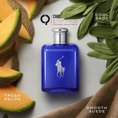 Polo Blue Eau de Toilette Ralph Lauren - Chic & Perfumados: Sua dose diária de luxo e elegância