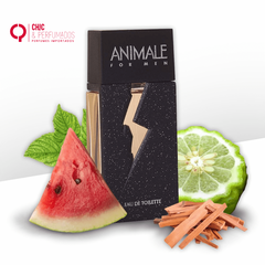 ANIMALE FOR MEN MASCULINO EDT - comprar online