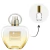 Decant - Her Golden Secret Antonio Banderas EDT