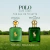 Polo Ralph Lauren Green Eau de Toilette - Nova Embalagem na internet