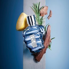 Only The Brave Diesel Eau de Toilette na internet