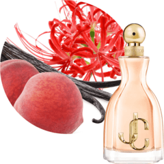 TST - JIMMY CHOO I WANT CHOO FEMININO EAU DE PARFUM 125ML - comprar online