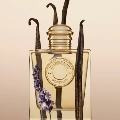 Burberry Goddess Eau de Parfum - 100ml na internet