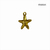 Kit 20 Peças - Pingente Estrela do Mar EF 43021