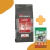Performance Cat Adult - comprar online